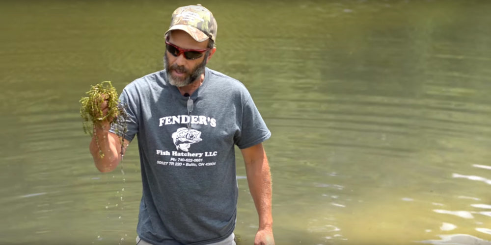 Vegetation Control Fenders Fish Hatchery