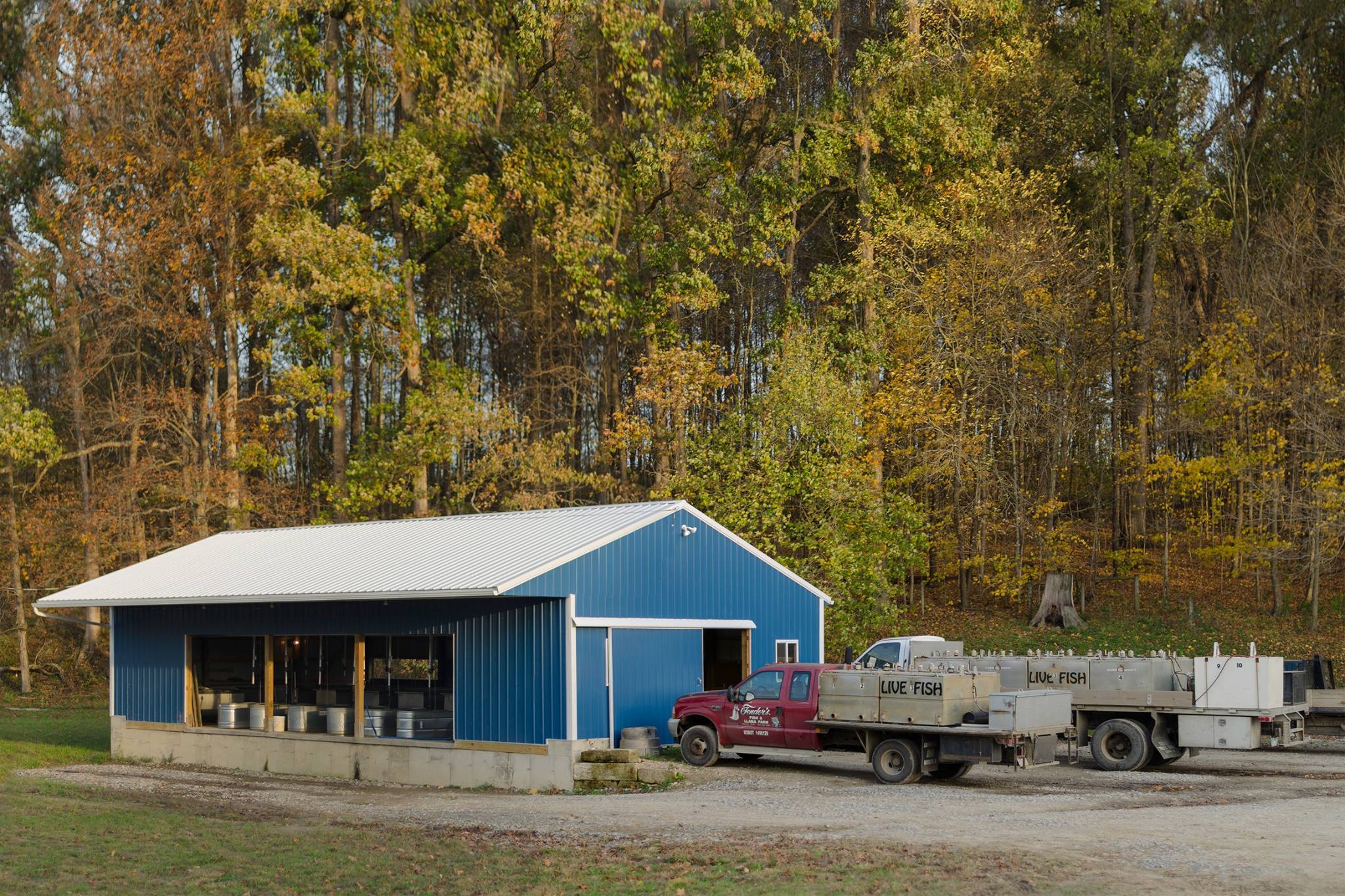 Fish Pricing Fenders Fish Hatchery