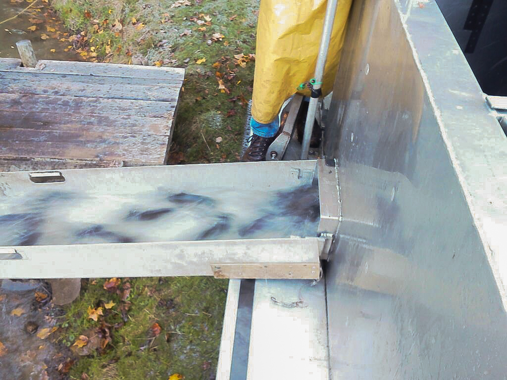 Fish Pricing Fenders Fish Hatchery