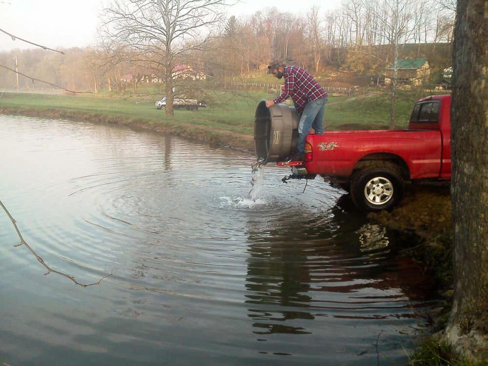 Fish Pricing Fenders Fish Hatchery