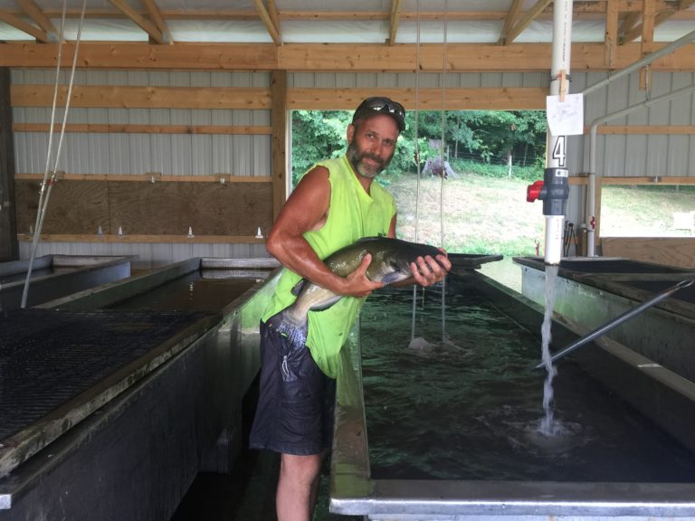Fish Pricing Fenders Fish Hatchery