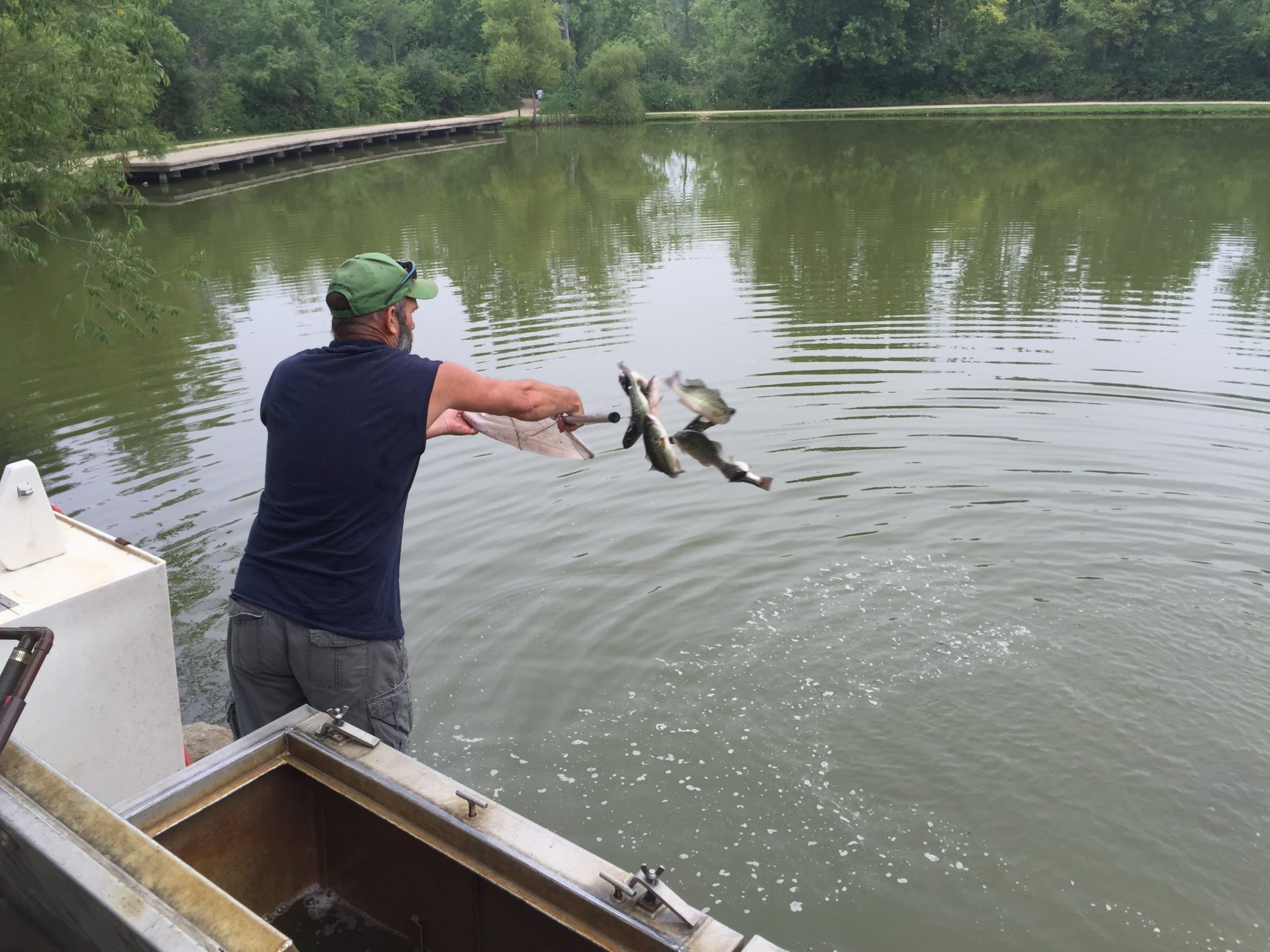 Fish Pricing Fenders Fish Hatchery