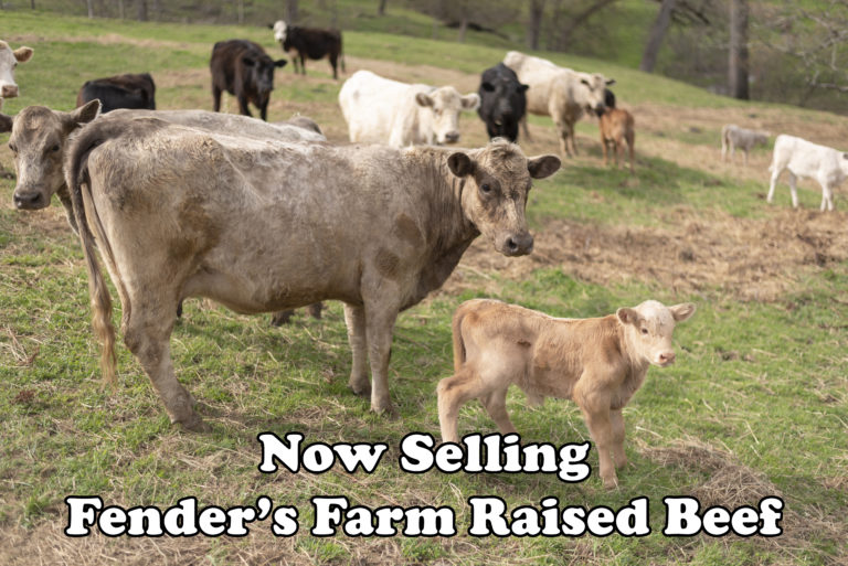 Fenders Fish Hatchery