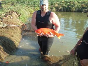 665410_240154872777431_1911374579_o