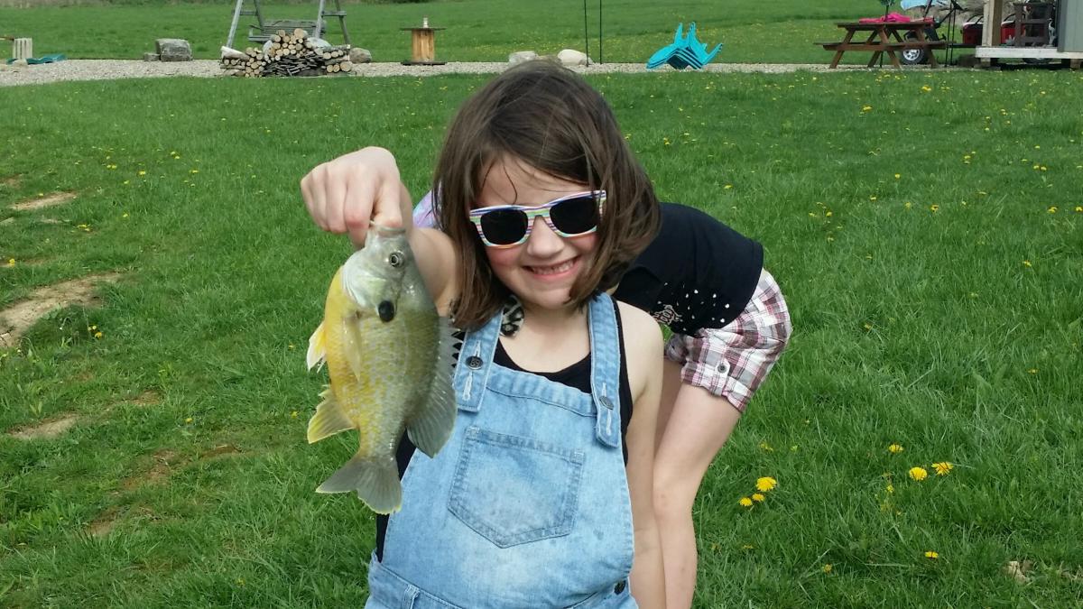 Galleries Fenders Fish Hatchery