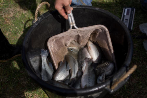Fenders Fish Hatchery