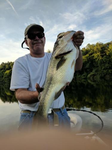 Large Mouth Bass Photo from Fenders Fish Hatchery Customer